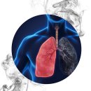 만성폐쇄성폐질환(COPD) 50대 이상 흡연자 특히 주의 이미지