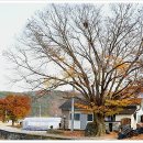 고원 경로당 이미지