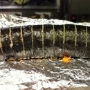 한입김밥 이미지