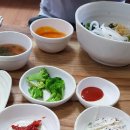 일산맛집 대화동 비빔밥 -산채촌