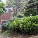 산정공원상록경로당 이미지