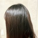 서해대로140번길 네이버블로그