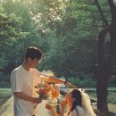 몽코지 이미지