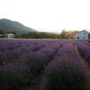 임이랑 농장 이미지