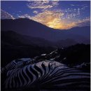 ▶ 중국여행 정보자연의 입체화 - 용척(龍脊) 계단논-11 이미지
