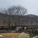 고려산 힐링캠프 이미지