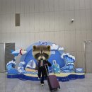 증산로 | [칭다오] 연차 1일로 2박 3일 칭다오 여행(1)