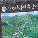 갑오약국 | 회사 밖은 언제나 행복해