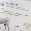 부라보 연산 이미지