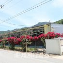 조령농장 이미지