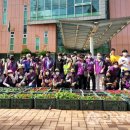 상록공원 게이트볼장 이미지