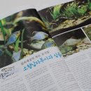 고기이야기 - 광주시 회안대로 350-14 | 고기이야기