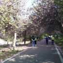 문수사 주차장 이미지