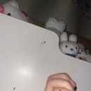 살모사건 이미지