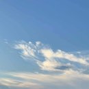 제주도파티게스트하우스틴더타운 이미지