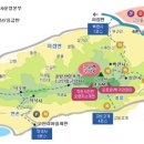 대곶농산물