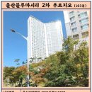 블루마루 이미지