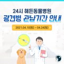 해든고양이병원 이미지