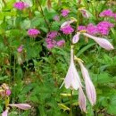 유교경전: 논어편 이미지