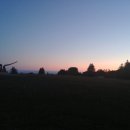 다운타운 이미지