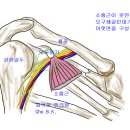 화목한의원 이미지