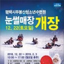 무봉산청소년수련원 눈썰매장 평택시민신문