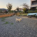 해리3길 | 기장 단체숙소 블레스유 독채 가성비 좋은 숙소 후기