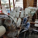 구두수선.운동화빨래방 이미지