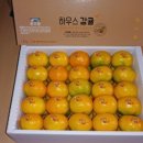 제주성익농원