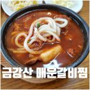 산정5일시장 | 포천 금강산 매운 갈비찜 주차 메뉴 가격 웨이팅 후기