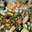 The global food waste scandal-Almost half of the world's food thrown away 이미지