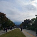 아침햇살의미소 | [서울대공원 동물원] 가족 가을 나들이 필수 코스! 🍂 단풍 가을 햇살 아래, 행복 충전 후기 (감성 가득)