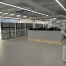 펫글타운 이미지