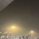 4634 | 신행(4)_파리 오를리공항에서 마드리드(트랜스아비아TO4634 후기), 마드리드 빠에야 맛집 추천 Mas Al Sur