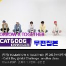 모아 dog 이미지