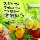 러브카페 이미지