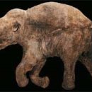 자연이야기 이미지