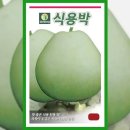 박**