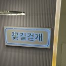 남부터미널 강아지카페 꽃길걷개 I 유기견 임시보호하는 강아지카페