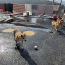 화도농장 이미지