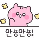 유진사진관 이미지