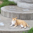 빵빵한 하루 이미지