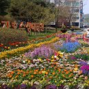 호수공원14로 티스토리