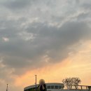 Always(올웨이즈)