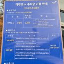 낙지마당평화점 | [파주 여행] 마장호수 출렁다리 &amp; 호수 둘레길 산책 코스(주차)