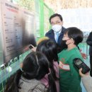 해야1호 태양광발전소 이미지