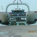 완도7호 이미지