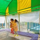 숲속 당구 이미지