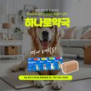 완도약국 이미지