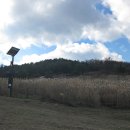 장산억새밭 이미지